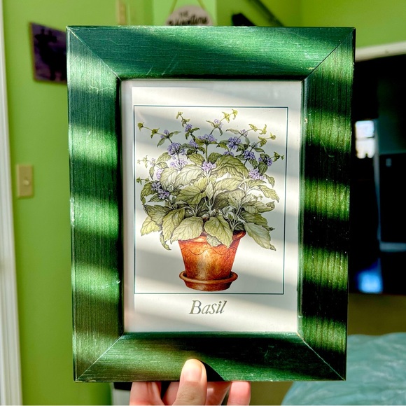 Other - Vintage Dark Green Framed Basil Plant Wall Hanging Home Decor Art Herb Display